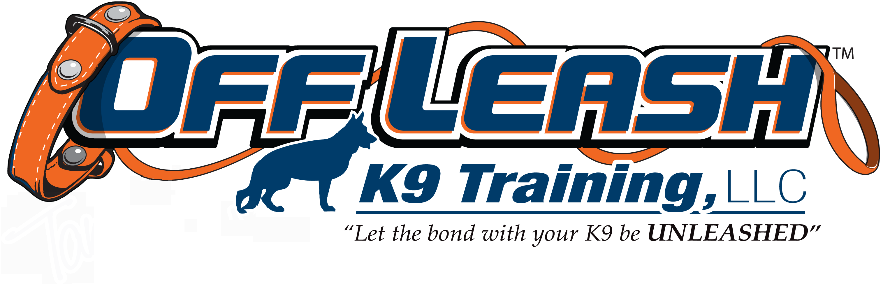Offleash K9 Celebrity Dog Training